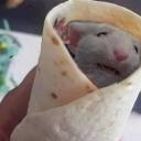 littlechillin16 avatar