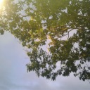 littlechivalry avatar