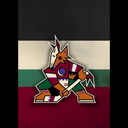 littlecoyoteboys avatar