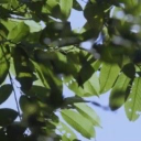 littledellprince avatar