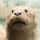 littledoll090 avatar