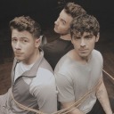 littledonnyshit avatar