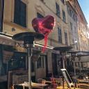 littledreamercookie avatar