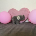 littleelephanty avatar