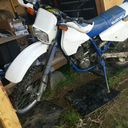 littlefishman avatar