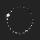 littleforest-witch avatar