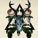 littlefox560-blog avatar