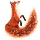 littlefoxgirl avatar