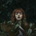 littlefoxxling-blog avatar