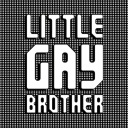 littlegaybrother avatar