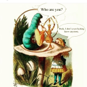 littlegirl2017 avatar