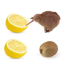 littlegreenfruit avatar