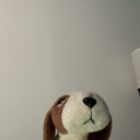 littleguybassethound avatar