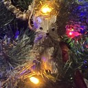 littleguythoughts avatar