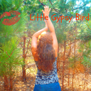 littlegypsybird-blog avatar