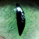 littlehidingowl avatar