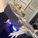 littlejinxers avatar