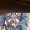 littlekings26 avatar