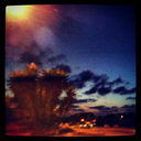 littlekittengirlcorner avatar