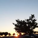 littleladybutt avatar