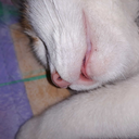 littleladyseverine avatar