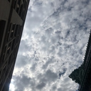 littlelandslide avatar