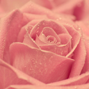 littlelift-blog avatar