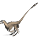 littlelioncat007 avatar