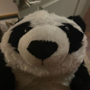 littleliondude avatar