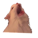 littlelokilover avatar