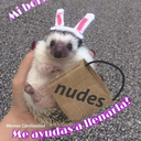 littlelosthero avatar