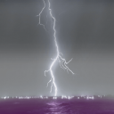 littlelostlee avatar