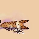 littlelothcat avatar