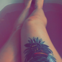 littlelotusblossom avatar