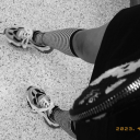 littlelynnsworld avatar