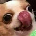 littlemanmilo avatar