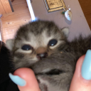 littlemindbitch avatar