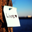 littlemingming-blog avatar