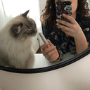 littlemiss-scatterbraiin avatar