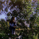 littlemissihaveaquestion avatar