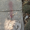 littlemissmexx3 avatar