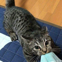 littlemissskrub avatar