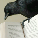 littlemissslaysstuff avatar