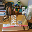 littlemissstudiesalot-blog avatar