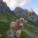 littlemoonlovesmoss avatar