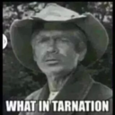 littlemsmeanie avatar