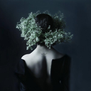 littlenifflers avatar