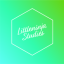 littleninjastudies avatar