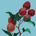 littleoceanart avatar