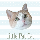 littlepatcat avatar